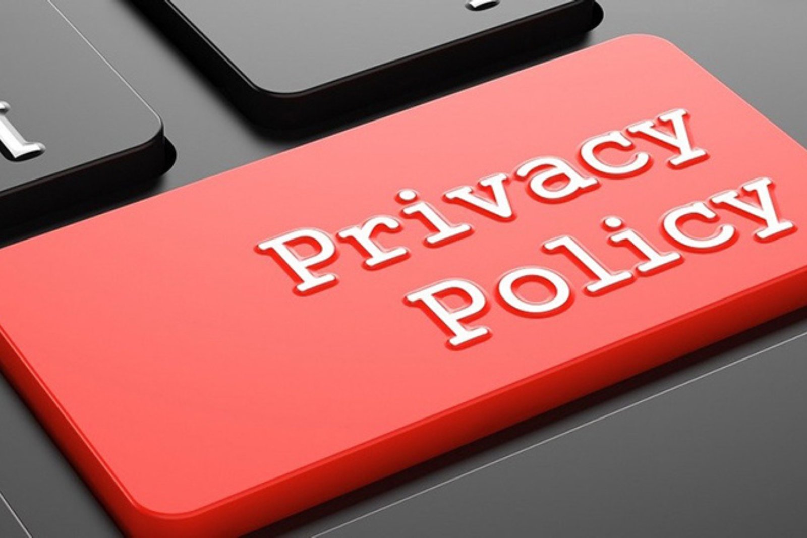Privacy Policy